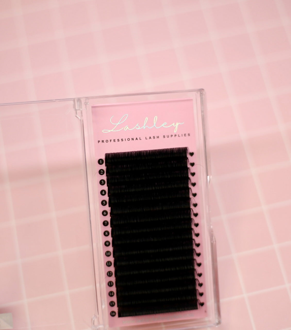 Volume Lashes: 0.05 CC Curl (16 rows)