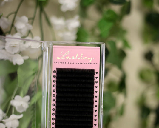 Volume Lashes: 0.05 D Curl (16 rows)